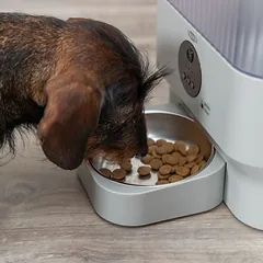 Trixie Futterautomat TX-C Smart, Trixie Futterautomat TX-C Smart bis 5 l Trockenfutter — 3 nuotrauka